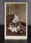 Antique CDV Photo Boy Wearing Dress Holding Cat Indiana Photographer 1800s Rare