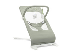 Baby Delight Alpine Deluxe Portable Infant Baby Bouncer, Organic Sage