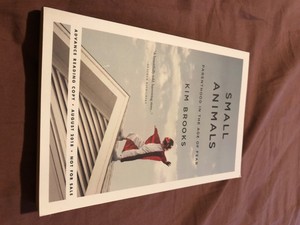 Small Animals Parenthood In Age Of Fear Kim Brooks  