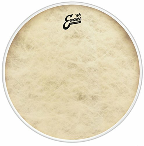 Evans 20"" EQ4 Calftone Bass Drum Head BD20GB4CT