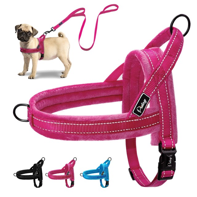 hot dog harness