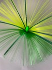 Bild 32 von 37