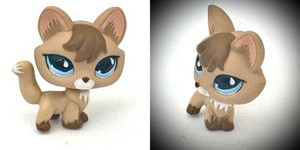 Littlest Pet Shop LPS #673 – Renard Original HASBRO – Authentique