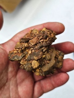 Impakt Kratergestein Breccia Nördlinger Ries 155 Gramm