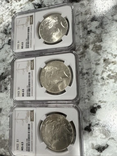 1922-23 Peace Dollars Set Of 3 NGC Graded Ms 63 Nice Set