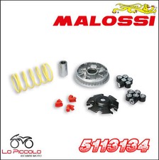 5113134 Variator Malossi