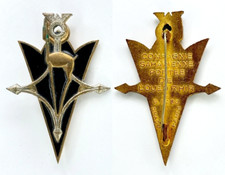 INSIGNE SAHARA CIE SAHARIENNE PORTÉE DE L'OUED R'HIR - DRAGO PARIS G1280