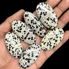 6 Pcs Natural Dalmation Jasper 44-49mm Oval Cabochon Loose Gemstones 342.15 Cts