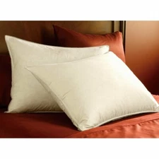 with tags Pacific Coast Double Down Surround Pillow Set (2 Standard Pillows) G2U