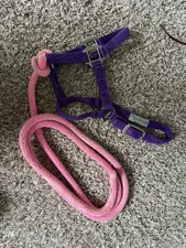 Yearling/Pony Nylon Halter with Lead