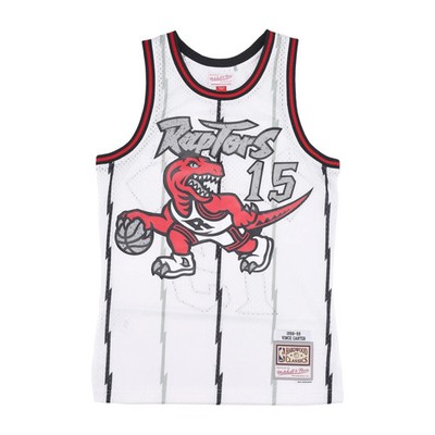 Vince Carter #15 Toronto Raptors 98 NBA Mitchell & Ness Cracked Cement Swingman