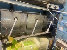 Large Aquatic Fish Tank