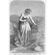 JOSEPH JOHN JENKINS The Lily - Antique Print 1851