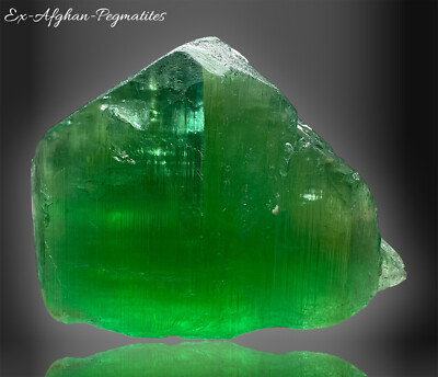 179 Gr. Double Terminated Top Green Etched Kunzite Huge Crystal @Afg
