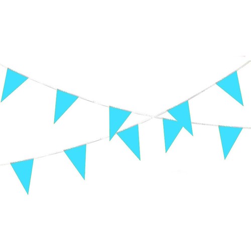 Bunting Triangle Flag's Party Fete Occasions Decorations 30+ Designs To Choose - Picture 23 of 103