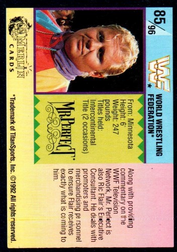 WWF WWE Merlin 1992 Part 1 (Black) Wrestling Trading Cards (summerSlam) Pick One - Picture 167 of 189