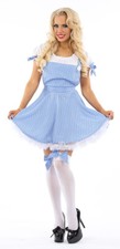 Adult Ladies Kansas Girl Dorothy Costume Book Day Character Film FREE POST