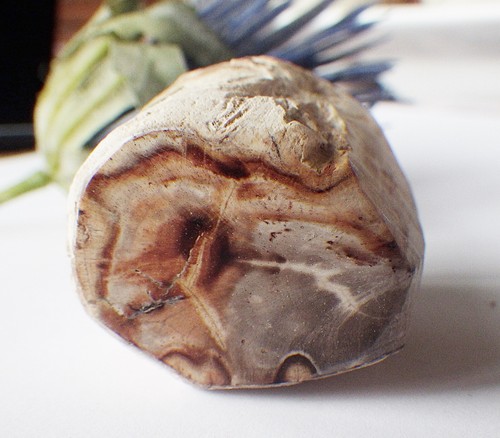 SCHMUCK-STCK VERSTEINERT HOLZ MINERALIEN S Deko Indonesien - Picture 19 of 24