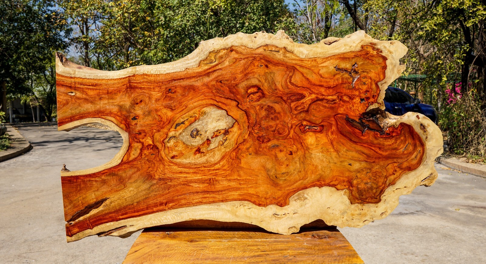 Amboyna Burl Live Edge Slab for DIY Epoxy Resin Table Top-image