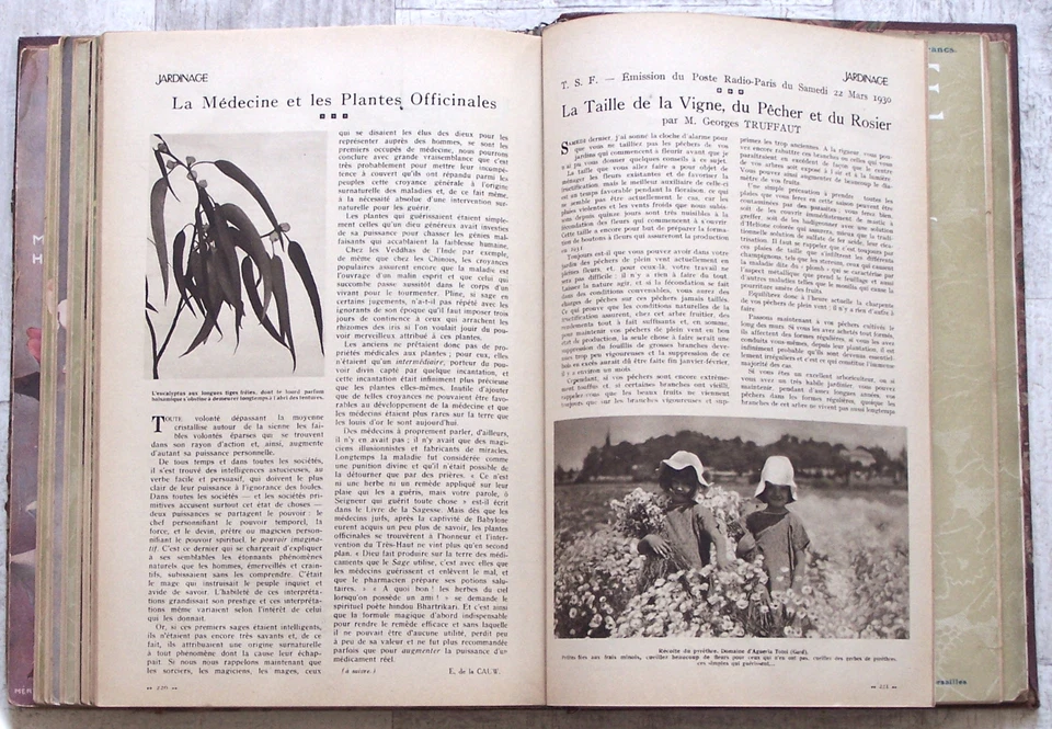Recueil éditeur 1929/30 JARDINAGE revue mensuelle Georges TRUFFAUT 134 à 144 BE - Photo 4/4