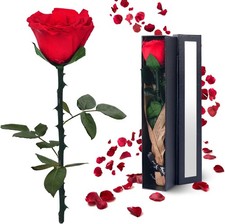 Preserved Flowers Gifts for Women: Valentines Day Mothers Day Birthday Christmas