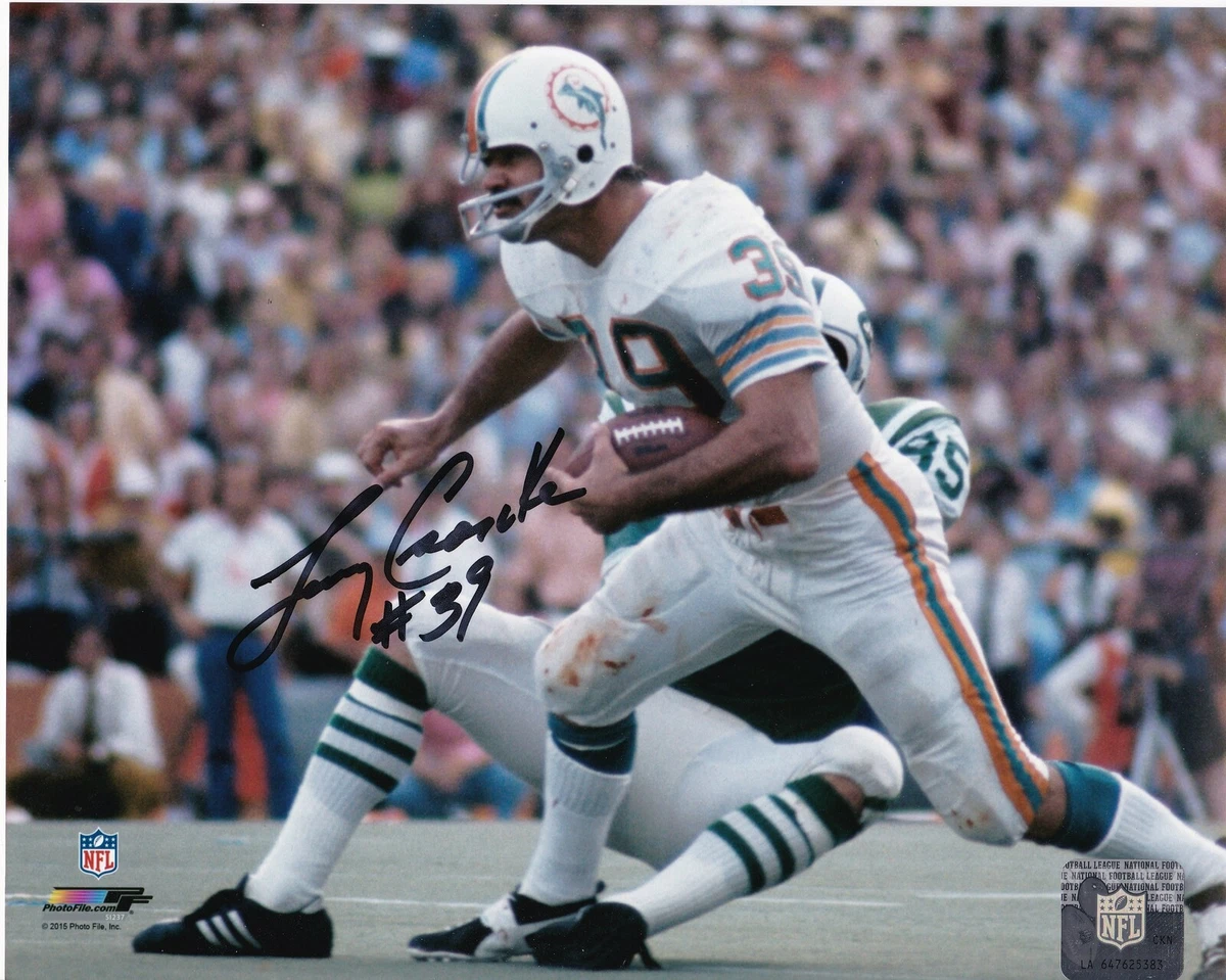 Ebay hotsell miami dolphins
