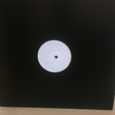Birdland    Everybody Needs Somebody 12'' white label promo one track