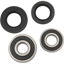 Pivot Works Wheel Bearing and Seal Kit - Double Seal - Rear | PWRWK-H13-020