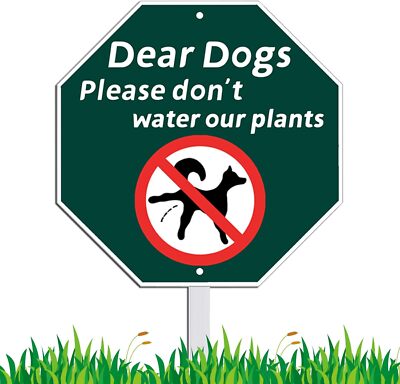 Dear Dogs Please Don't Water Our Plants,Funny Dog Yard Sign with Green&White 