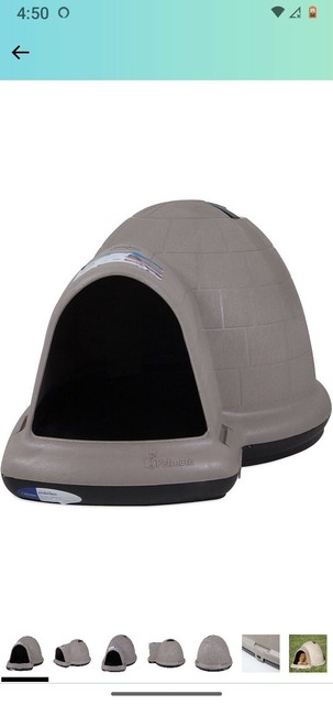 igloo dog box