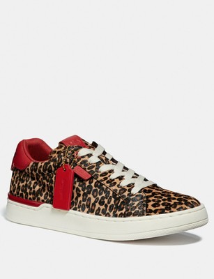coach leopard sneakers