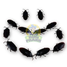 12 Fake Cockroaches - Realistic Rubber Cockroach Prank Gag Joke