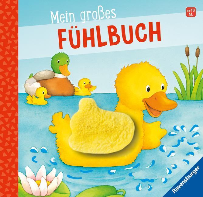 Thumbnail - Mein Großes Fühlbuch | Sandra Grimm | Buch | Spiralbindung | 12 S. |