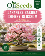 Japanese Sakura Cherry Blossom Seeds Prunus Serrulata Bonsai Ornamental Tree