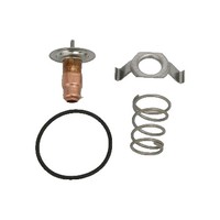 Thermostat KüHlmittel 87 °C Triscan Iam-Expertise Passend FüR U.A. Skoda Felicia