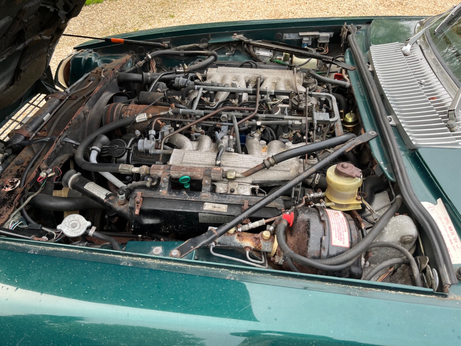 s-l1600.jpg