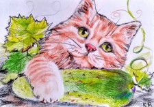 ACEO cat watercolor pencil by the author original 3,5