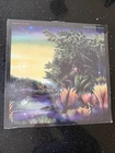 Fleetwood Mac Tango In The Night  -  GREEN VINYL LP  NEW SEALED