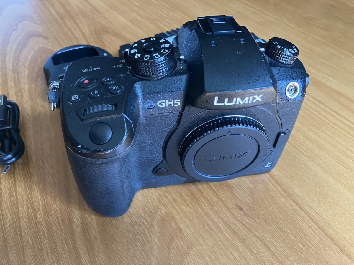 Panasonic Lumix DC-GH5 Panasonic LUMIX Digital Cameras for Sale