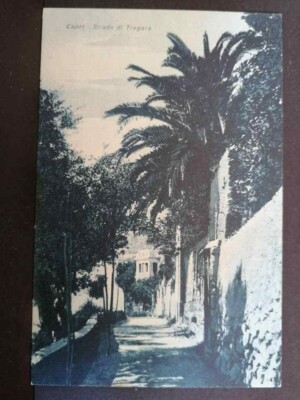 Postcard Capri Strada di Tragara Q766