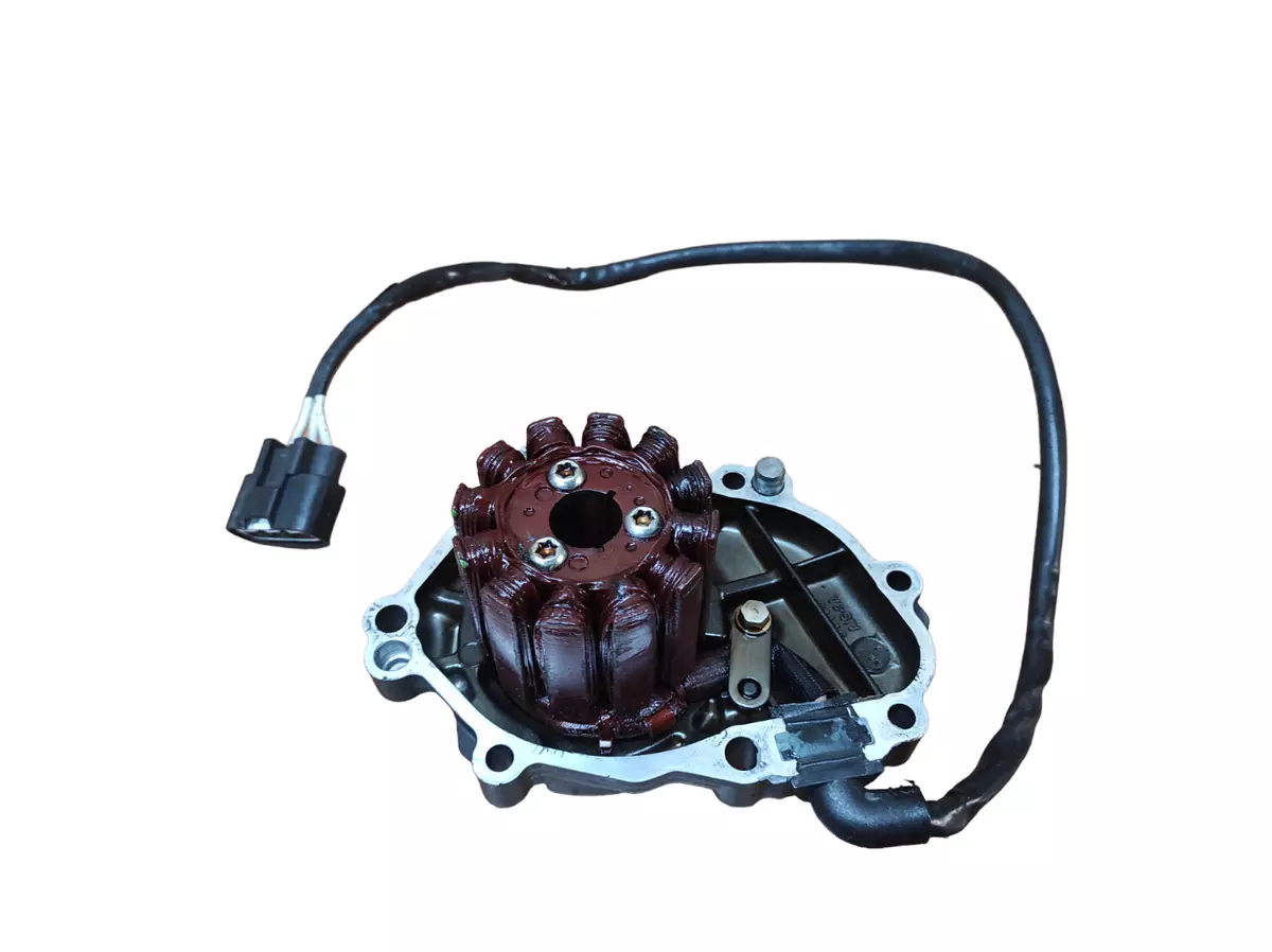 Crankcase Stator Magnet Yamaha FZ1 2006 2016 eBay
