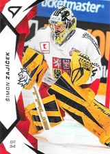 Simon Zajicek, 2025 czech national team, Providence Bruins, Boston Bruins