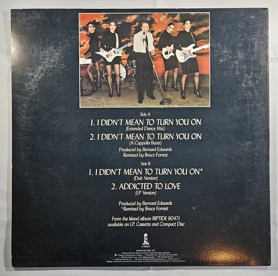 Robert Palmer - I Didn't Mean to Turn You On [1986 Used Vinyl Record 12" Single] - Image 2 of 4