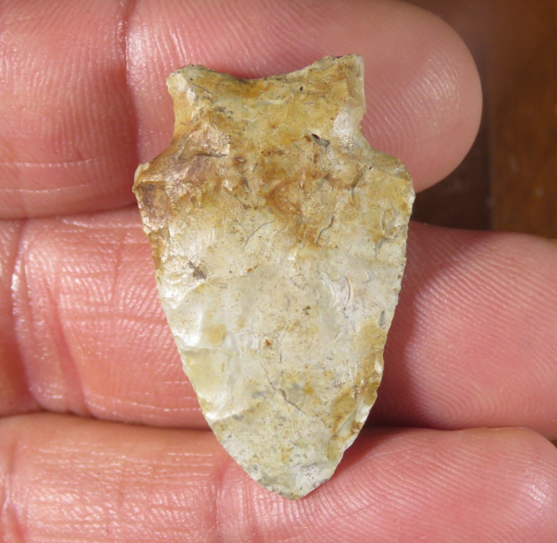 Nice colorful Archaic Benton point found Massac Co. Illinois 1.5/8 in.