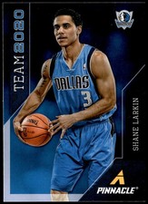 2013-14 Pinnacle #19 Shane Larkin Team 2020 E1