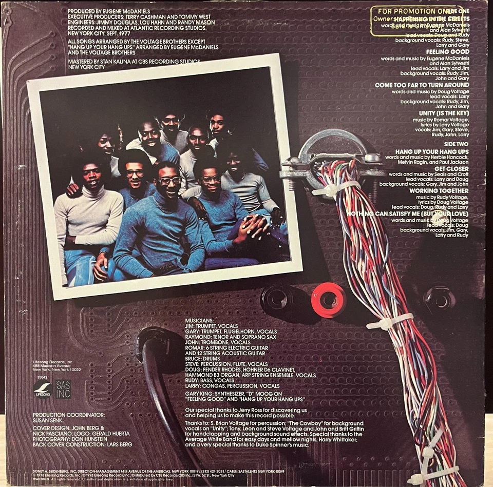 The Voltage Brothers Lifesong White Label Promo Vinyl Record LP! - Image 2 of 4