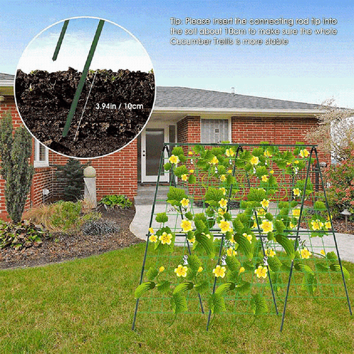 Green Beans and Cucumbers Trellis 48 x 48 Inch Foldable A Frame Design - Picture 12 of 16