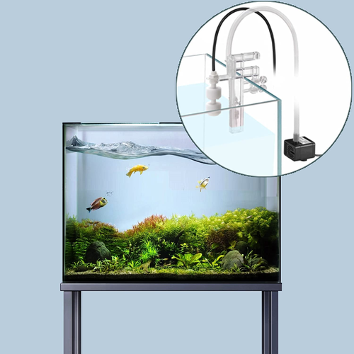 sump system fish tank