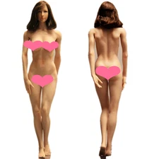 UANDD UD 1:6 Female Body Medium Bust Girl 12" Action Figure NO Head Soldier Toys