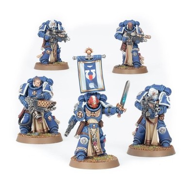Warhammer 40K Space Marine Sternguard Veteran Squad Pro Painted Commission